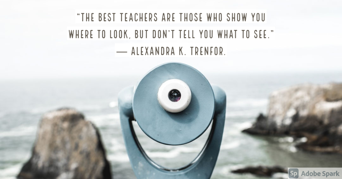 "The best teachers are those who show you where to look, but don't tell you what to see." (Alexandra K. Trenfor)
